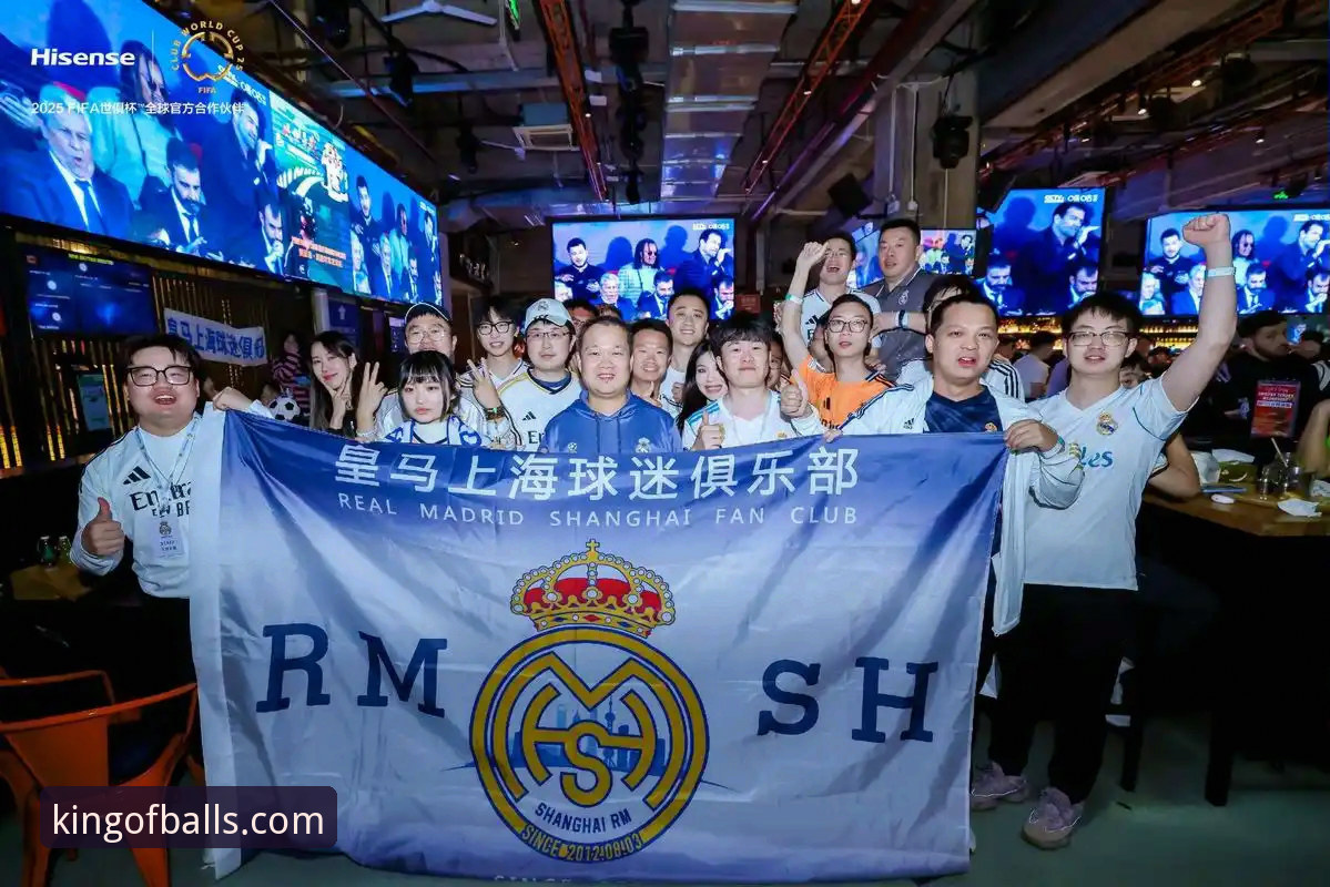 揭秘热刺换帅风波：图多尔铁腕治军背后的深层博弈与球迷观赛新体验