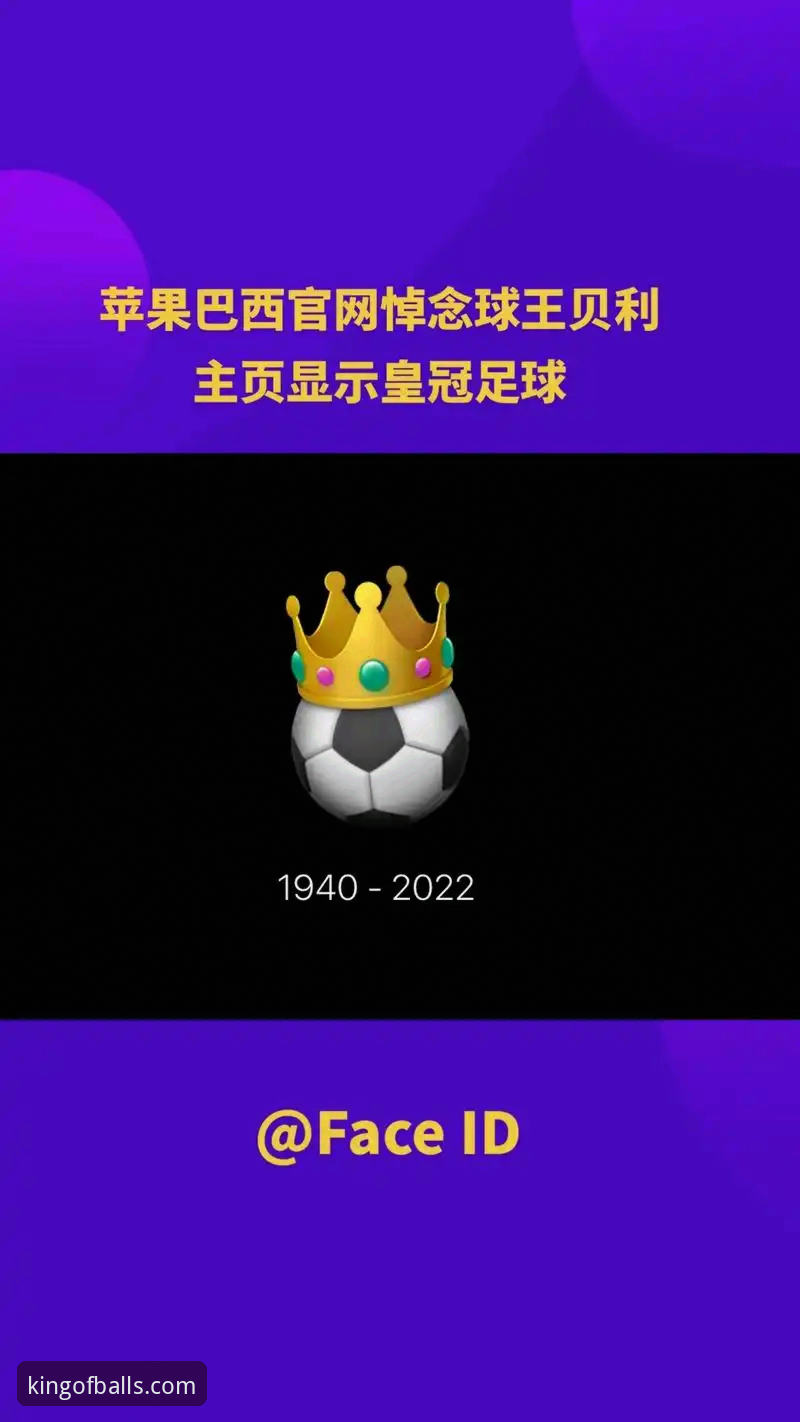 球王会体育平台苹果安装包最新版深度评测：功能、性能与下载全解析